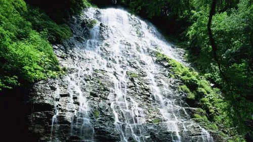 高标准全自动